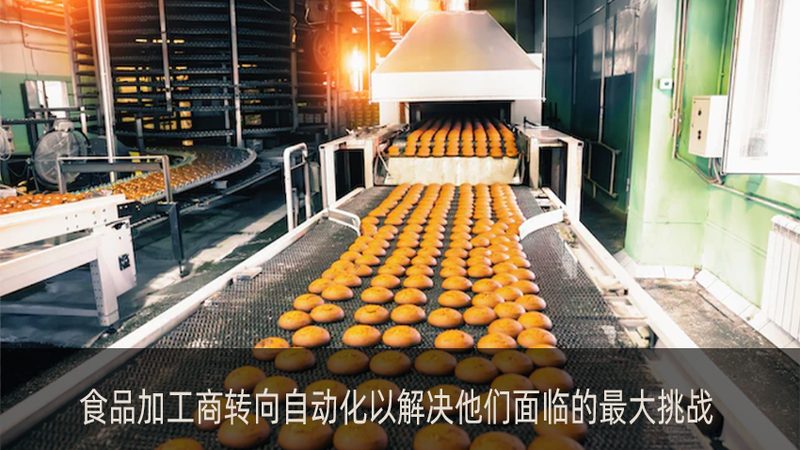 小型冻干机选型：如何找到性价比高的品牌**