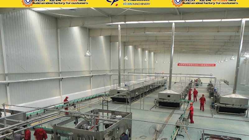 四川真空冷冻干燥机：揭秘其技术核心与选型要点**